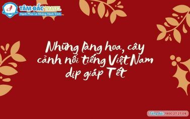 Những làng hoa, cây cảnh nổi tiếng Việt Nam dịp giáp Tết